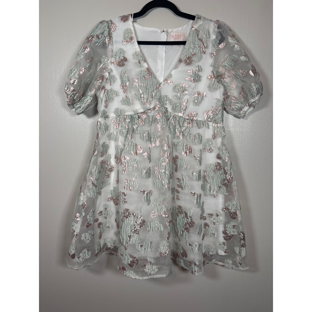 Audrey Parks Francesca's Metallic Floral Jacquard Puff Sleeve Mini Dress Large
